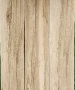 Areneria Turin Rectified R-11 (20x120)