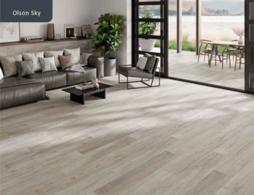 Olson Sky R-11 (15x90) - Image 2