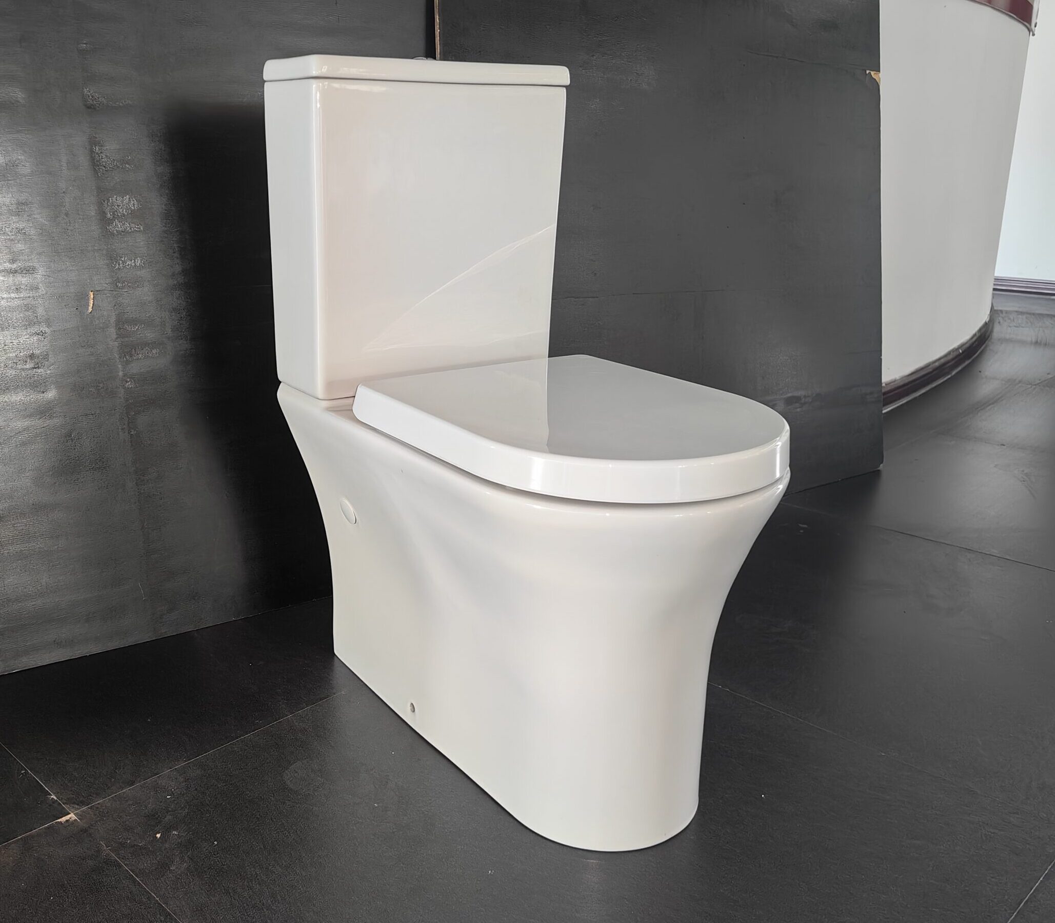 Rome Back to Wall Toilet