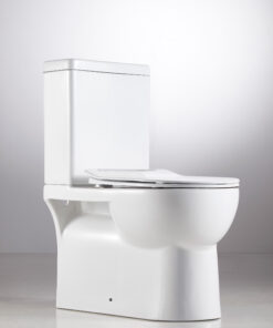 Alternative view of Naples Back-to-Wall Toilet