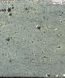 Musa Turquesa (6.5x20)