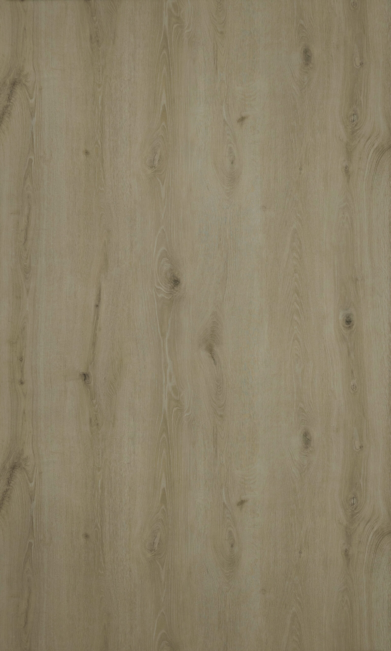 Atlas Slaney Beige 8mm/AC-4/5-G - Image 2