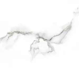 Calacatta Gloss (30x45)