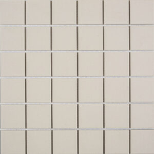Dublin Grey Mosaic 48mm R-11 a/slip (30×30)