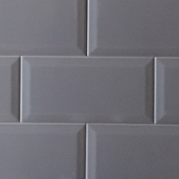Bisel Plata Brillo (10x20)