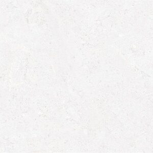 Siena Grey Gloss (30x60)