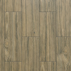 Ebano Miel (20x61.5)